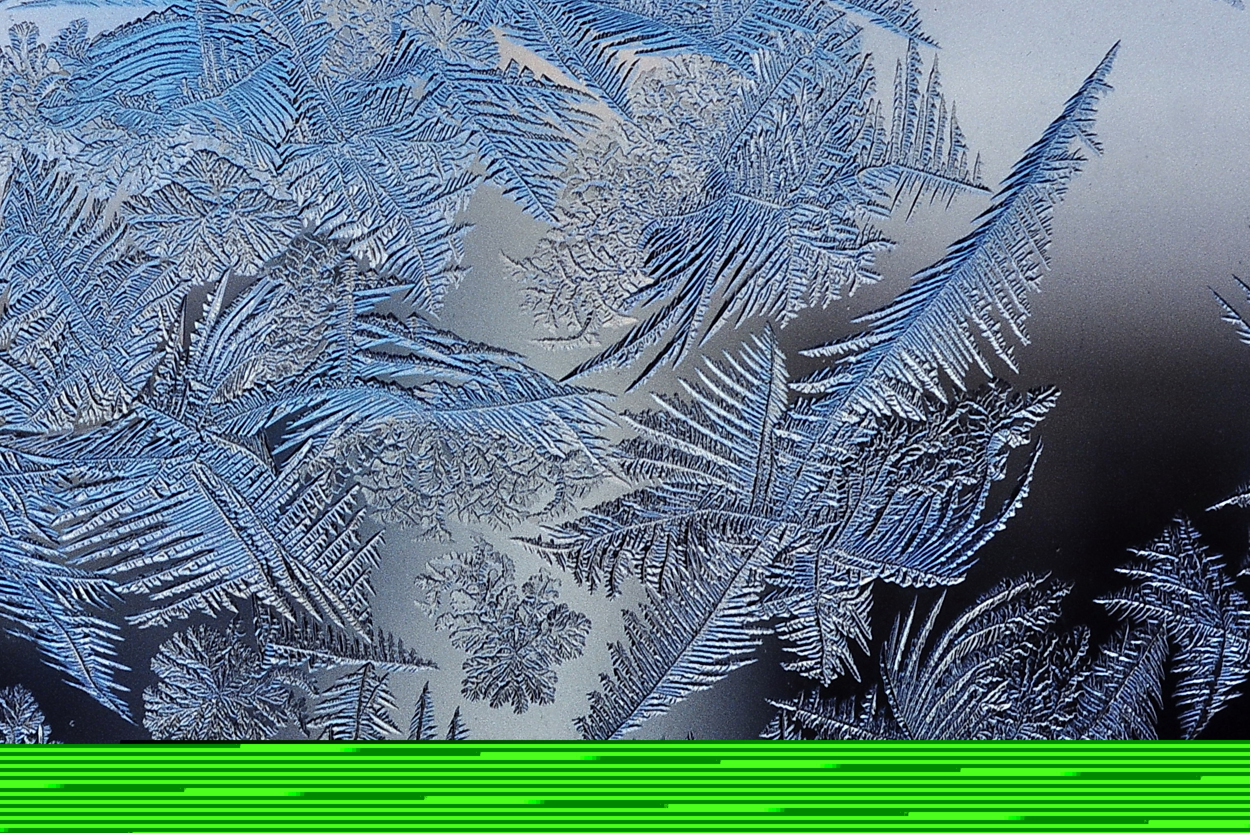 Flocons de neige